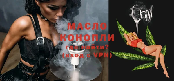 гидра Бородино