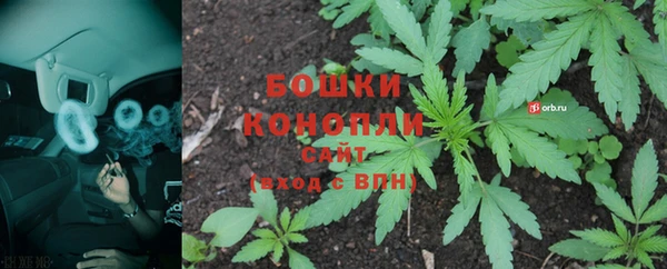 гидра Бородино