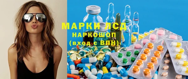 гидра Бородино