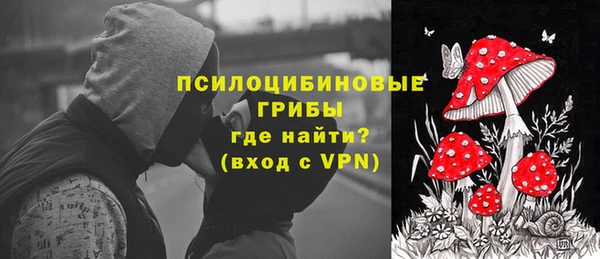 гидра Бородино
