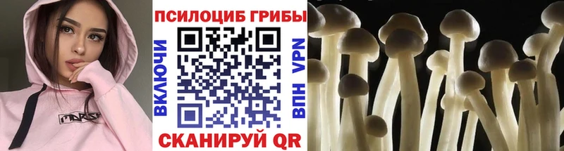 закладка  Венёв  Галлюциногенные грибы ЛСД 